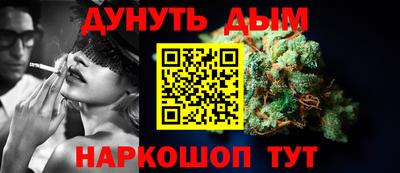 тгк Кингисепп