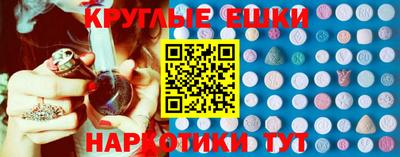 тгк Кингисепп