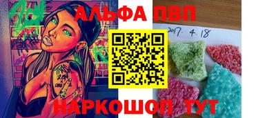 тгк Кингисепп