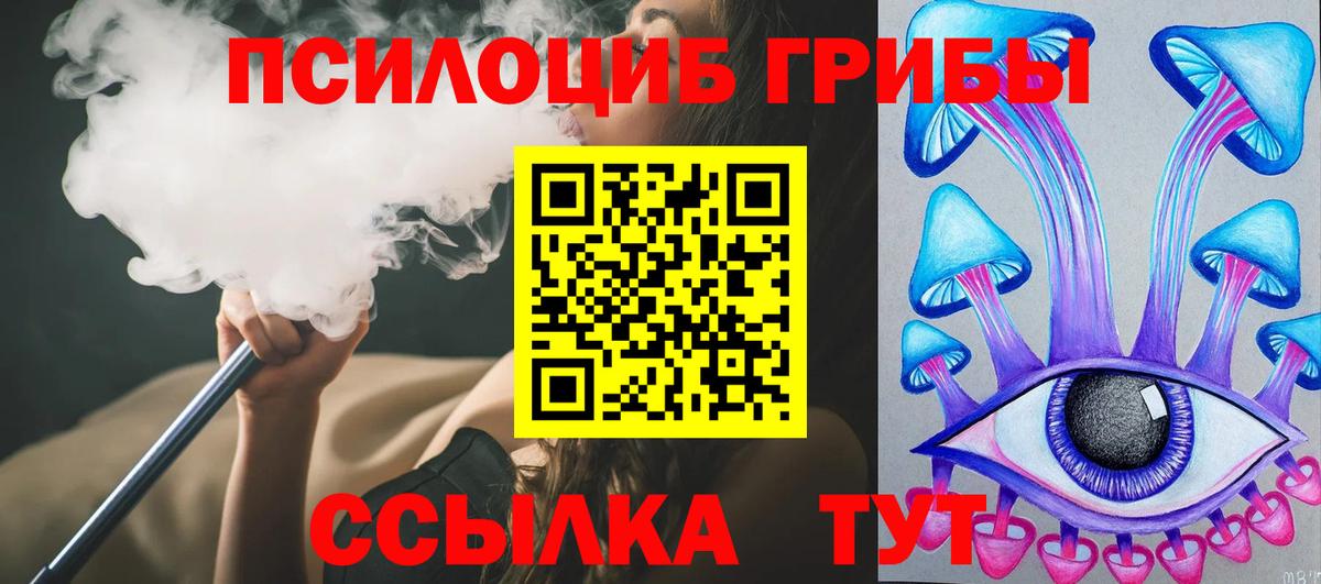 Галлюциногенные грибы Psilocybe Кропоткин